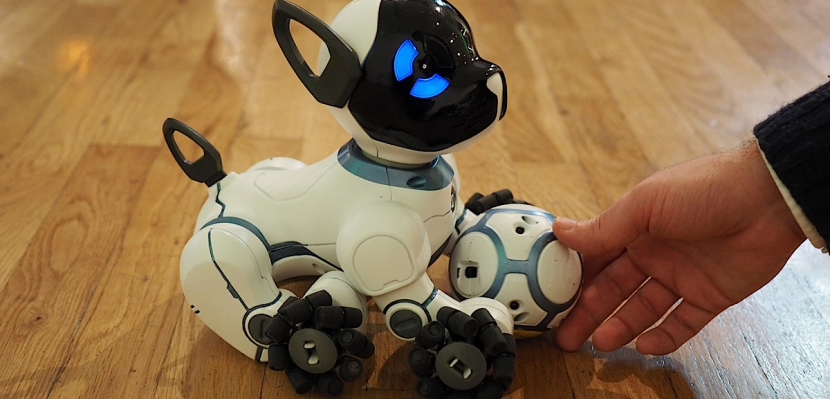 Приобретение детских роботов-животных на China-Prime.ru имеет ряд преимуществ. Во-первых, такие игрушки обладают аутентичным дизайном и функционалом, что делает их невероятно реалистичными. Во-вторых, они могут выполнять различные задачи, обучая ребенка уходу за животными и развивая его навыки взаимодействия с окружающим миром. Наконец, магазин предлагает широкий выбор игрушек разных видов и моделей, что позволяет выбрать подходящий вариант для каждого ребенка.  
